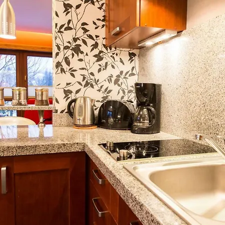 Cicha Woda Apartment